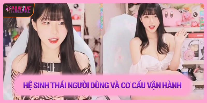 Hệ sinh thái người dùng và cơ cấu vận hành